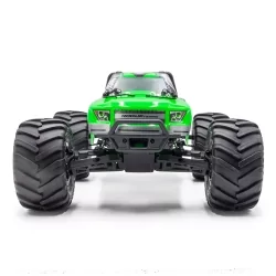 Monster ROGUE TERRA brushless SPORT VERT RTR (servo 15KG)