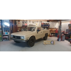 Peugeot 504 Licenced Body 313mm