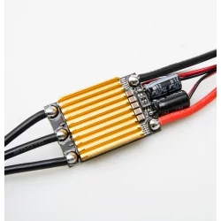 Mini ESC IZARD 80 amp for Crawler